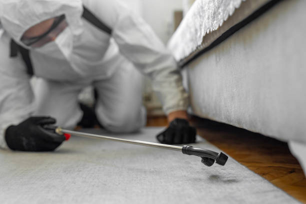 Professional Termite Control technician working in Killeen, TX