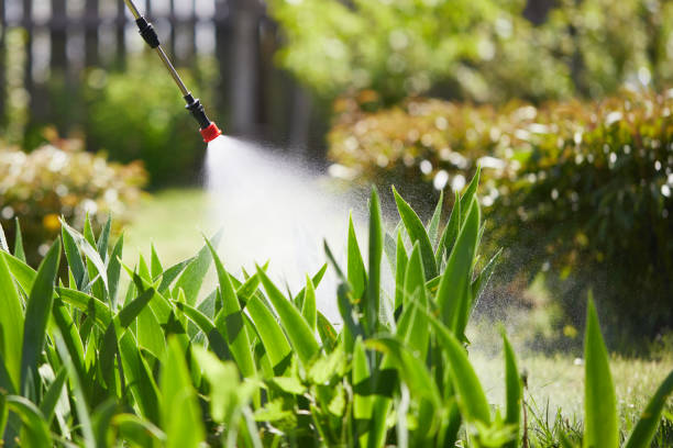 24/7 Emergency Termite Control experts in Killeen, TX