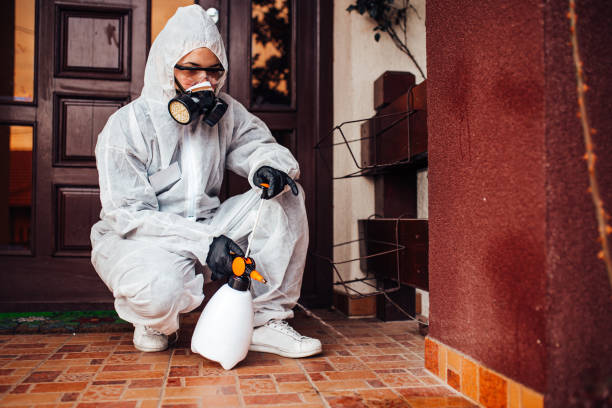 Reliable Termite Control contractor in Killeen, TX by Nex Pest Control